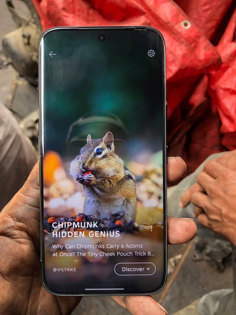 tecno camon 50 pro 1