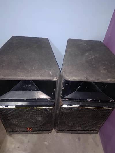 Echo sound system SP-2