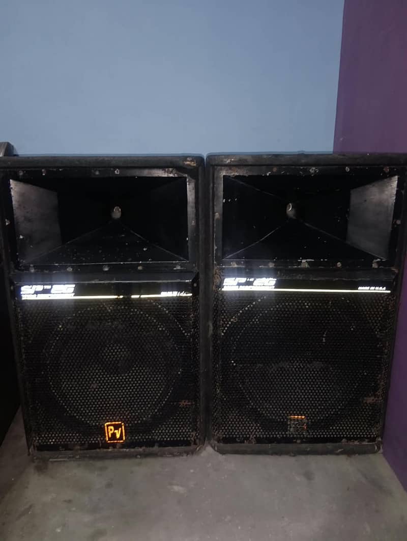 Echo sound system SP-2 1