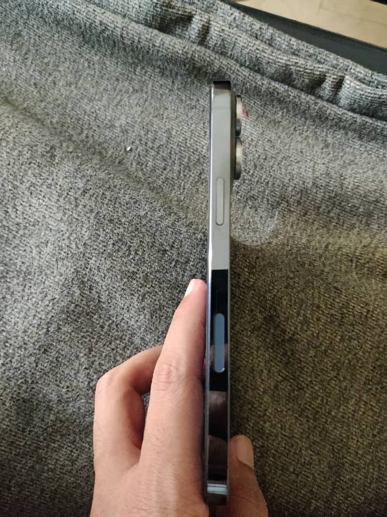 Apple iPhone 13 Pro Max 1
