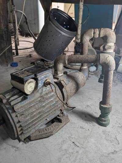 Shazad Pump For sale All okk
