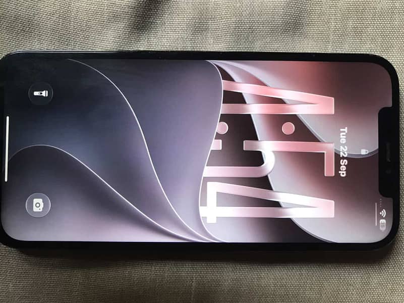 Apple iPhone 12 Pro Max 1