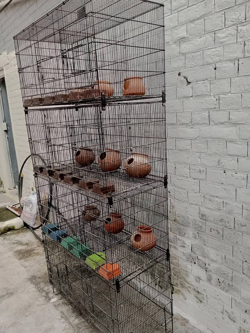 Parrots cage 1