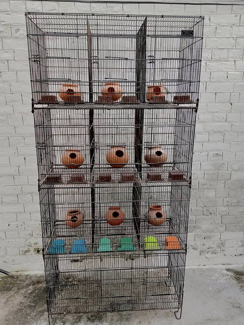 Parrots cage 3