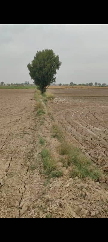 House for sale in Rahim Yar khan