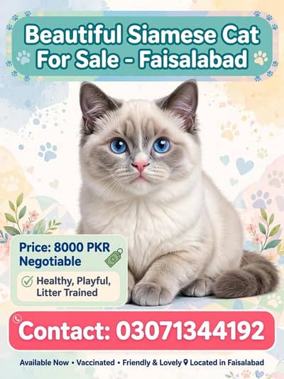 cat for sele