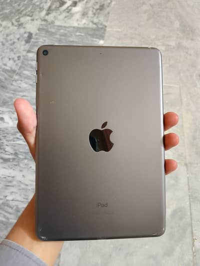 iPad mini 5