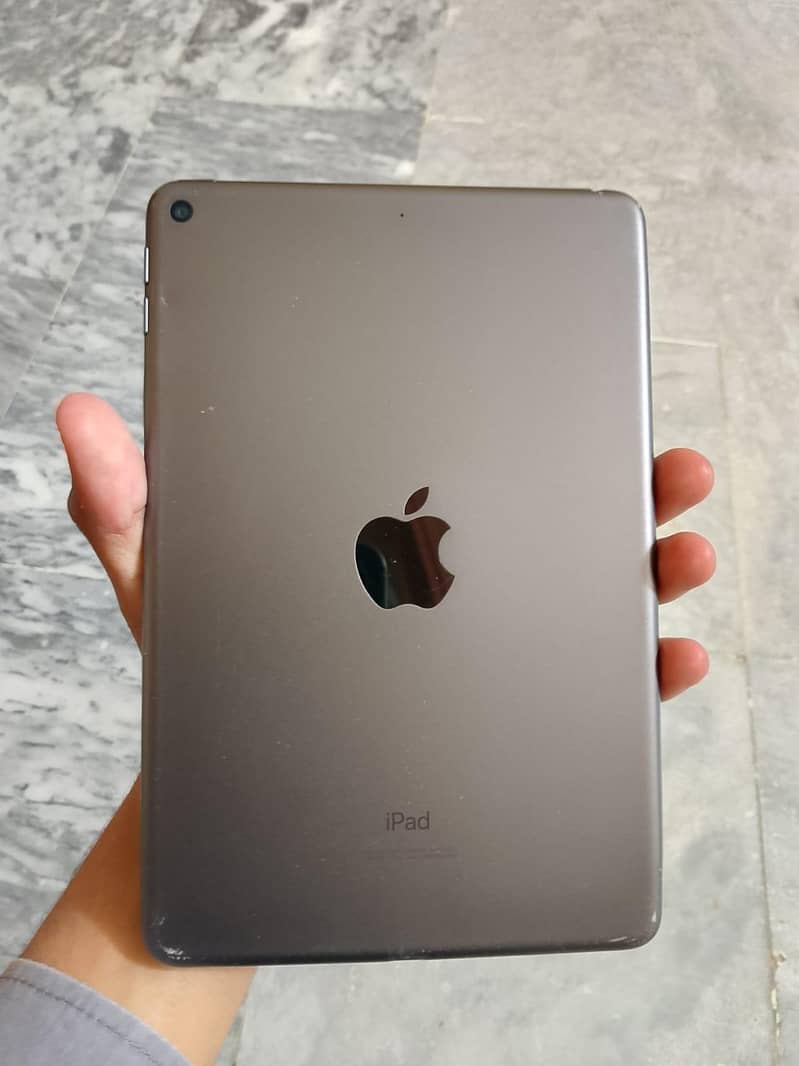 iPad mini 5 0