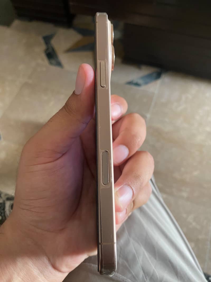 Apple iPhone 16 Pro Max 4