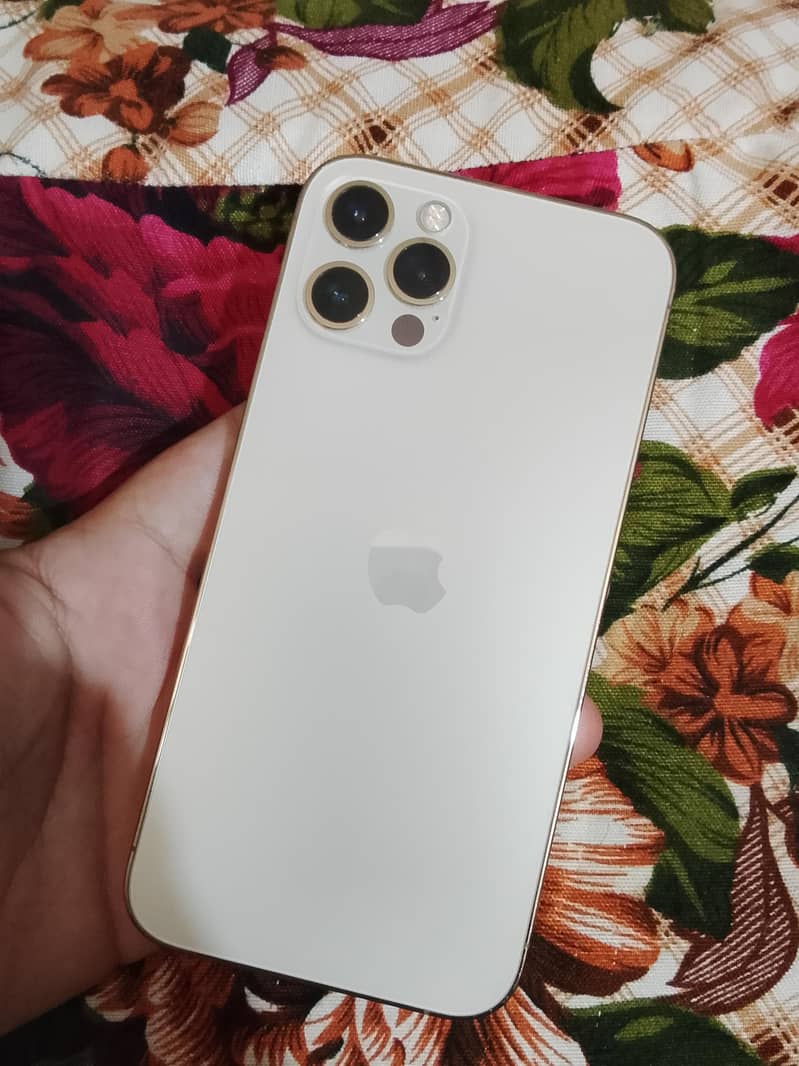 Apple iPhone 12 Pro 0