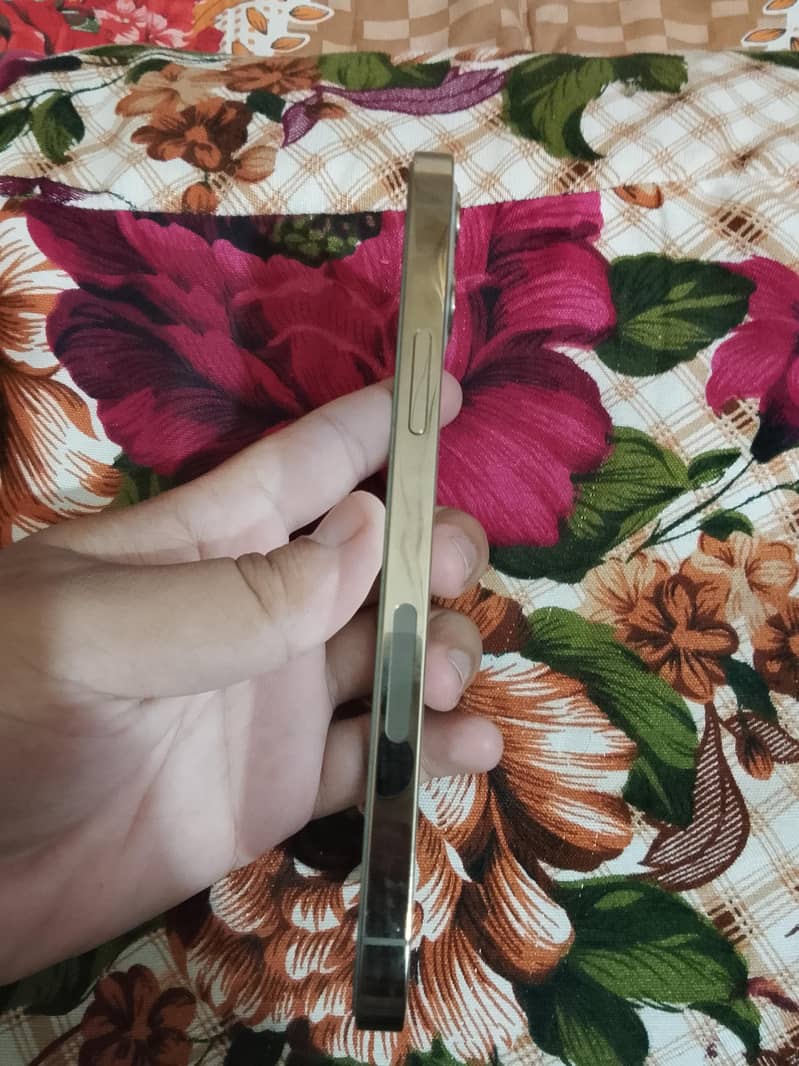 Apple iPhone 12 Pro 6
