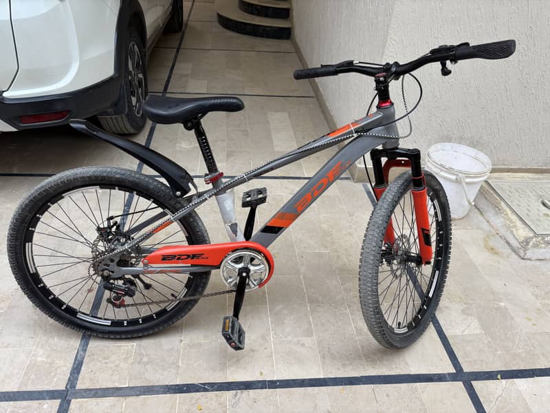 Bicycle 1