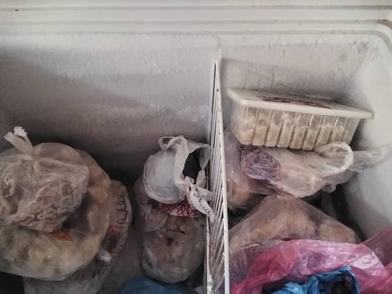freezer 1