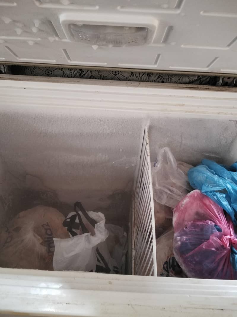 freezer 3