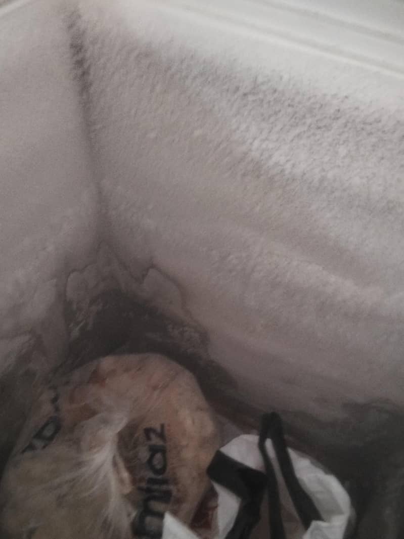 freezer 4