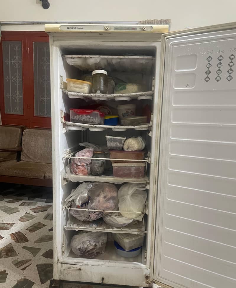 Indesit vertical Deepfreezer 1