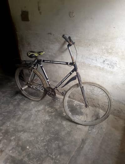 Full Size Cycle