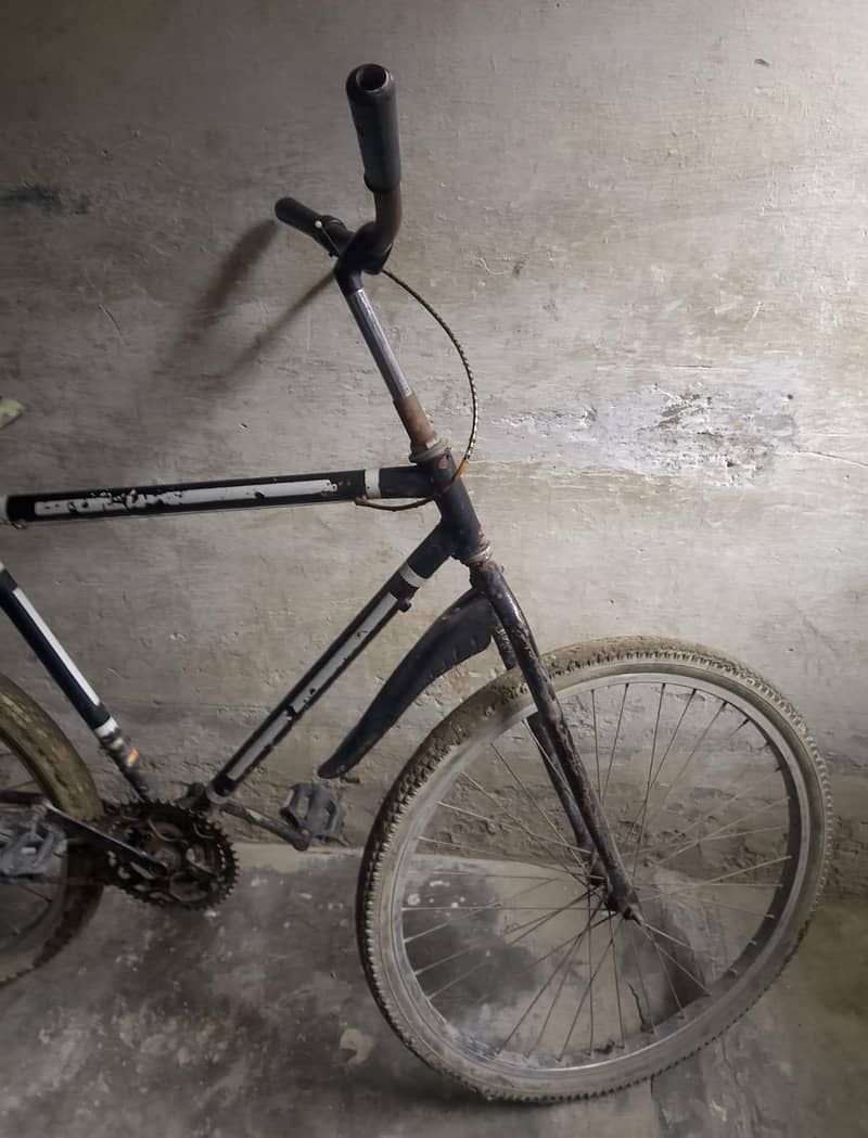Full Size Cycle 1