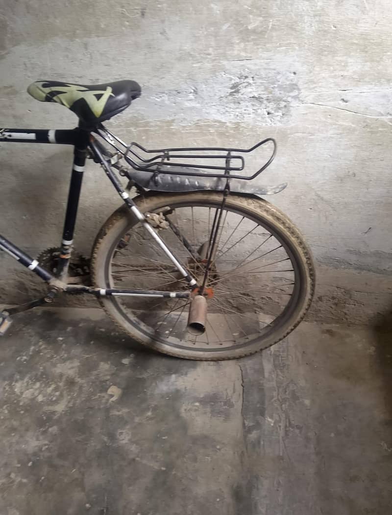 Full Size Cycle 2