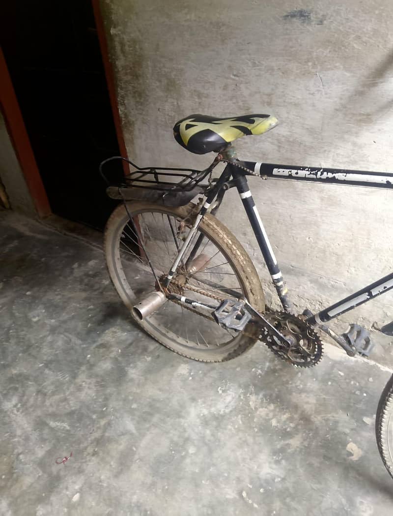 Full Size Cycle 3