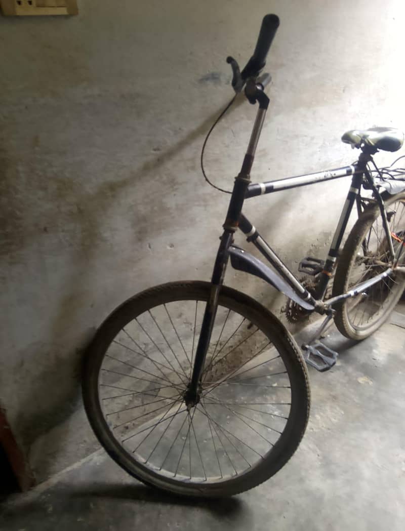 Full Size Cycle 5
