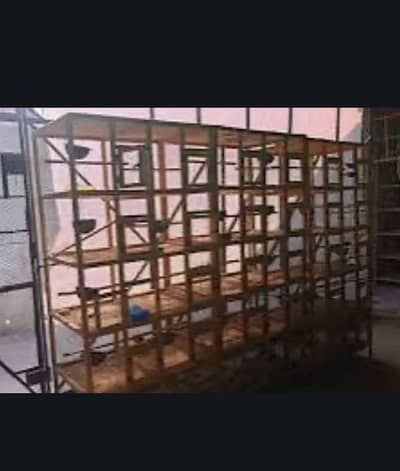 5 Portion Wooden Cages |A+ Best Built Quality