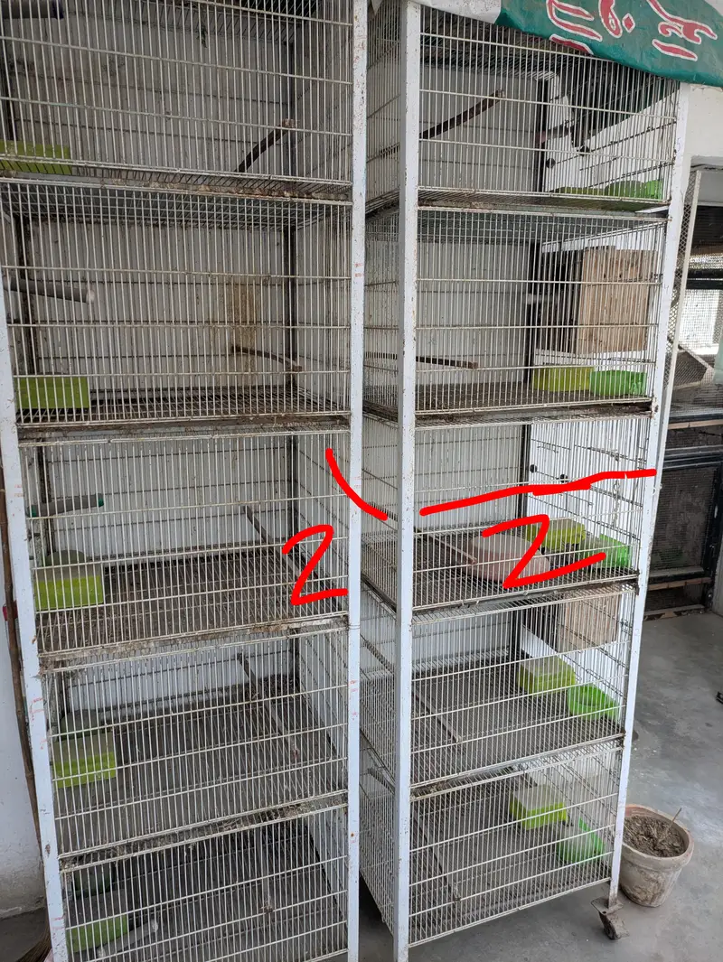 5 portion angle cage, angel cage birds cage pinjra cage for sale — photo 2
