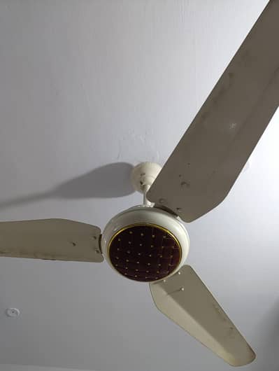 GFC Inverter 30Watts (1 Wing Broken)