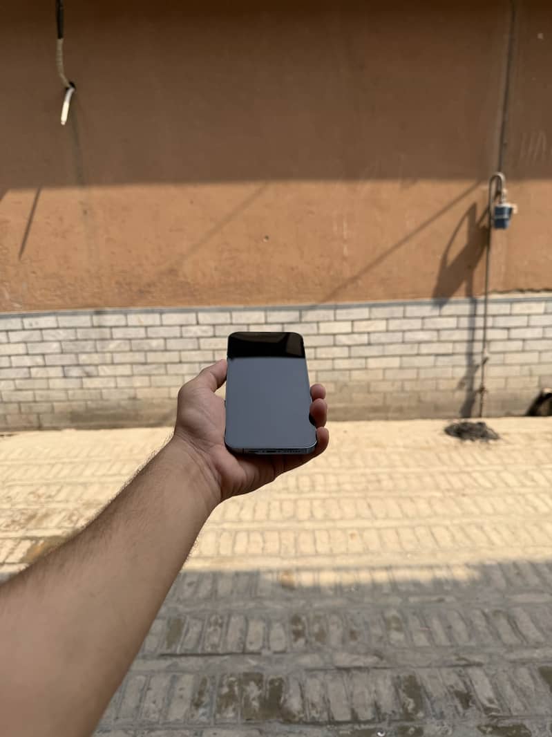 Apple iPhone 13 Pro Max 1