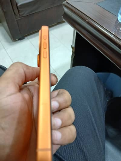 Apple iPhone 17 Pro Max 100 betray health