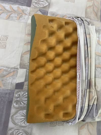 Molty contour pillow