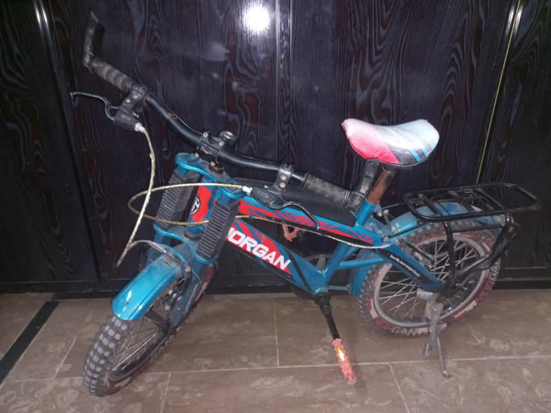 BiCycle 1