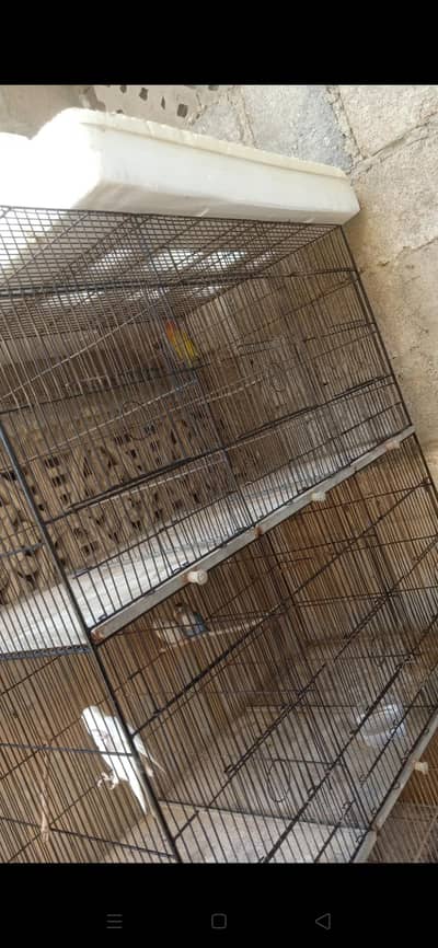 12 portion big size cage pinjra pinjara