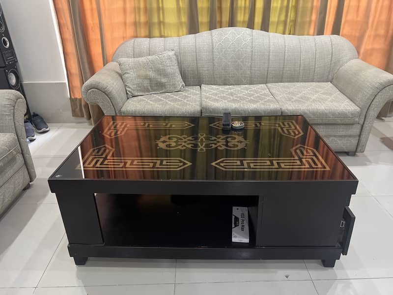 11 seats sofa set 6