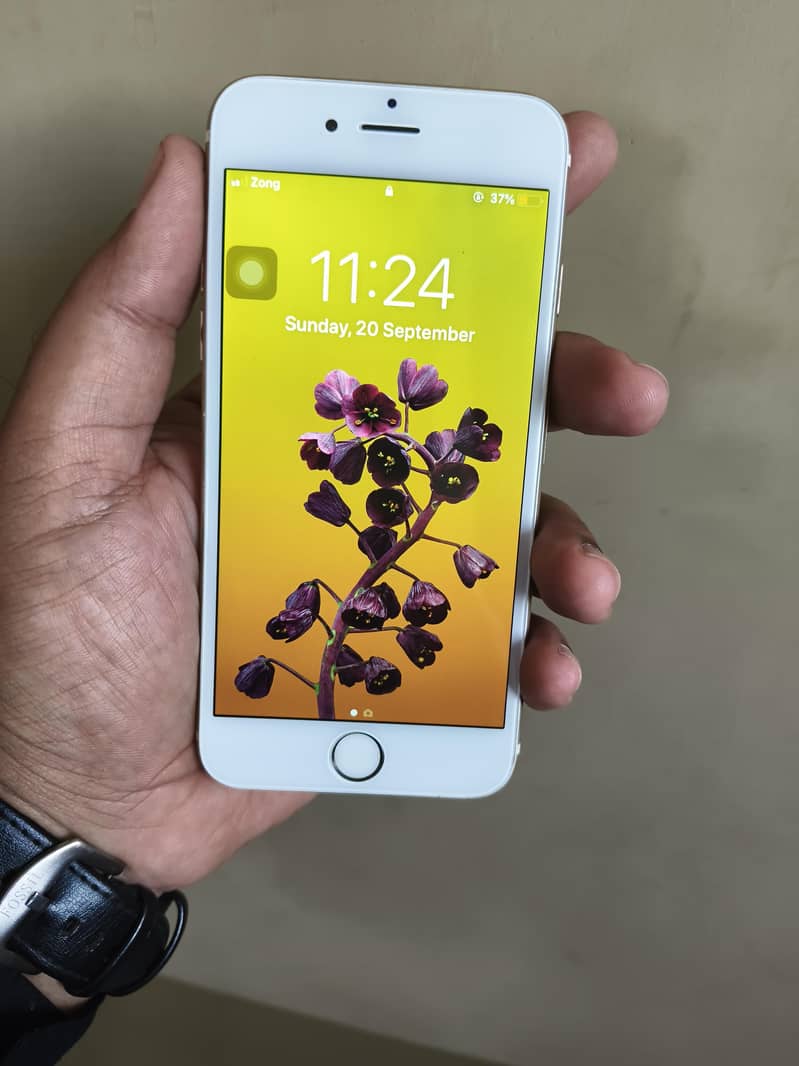 Apple iPhone 6 3