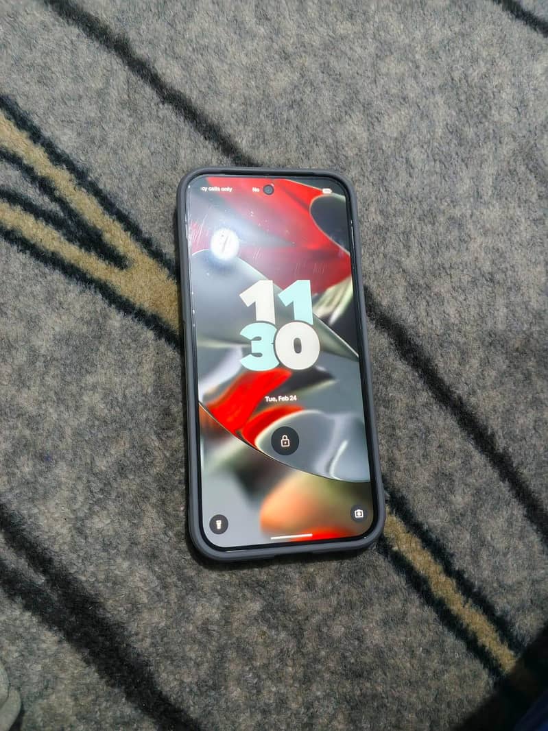 Google Pixel 9 Pro XL 1
