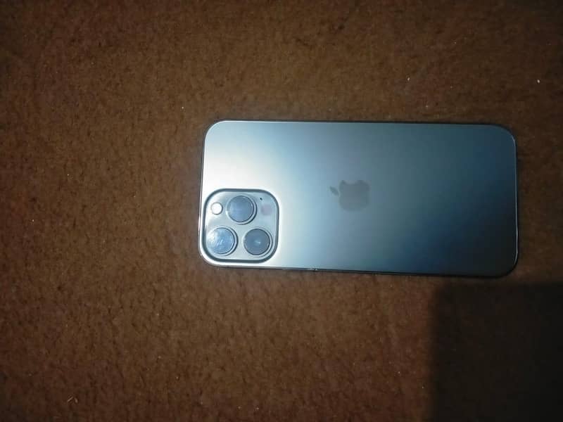 Apple iPhone 13 Pro Max 1