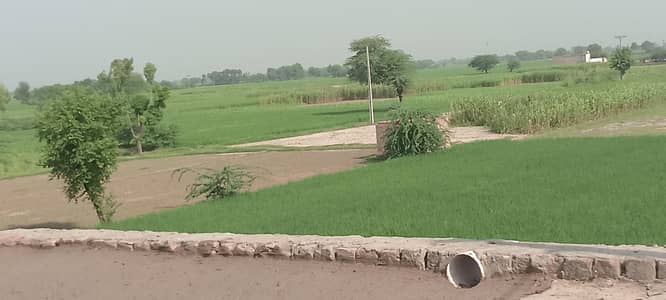 Family Couple Available for House / Farm House Caretaker Job