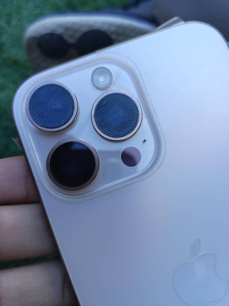 Apple iPhone 16 Pro Max 1