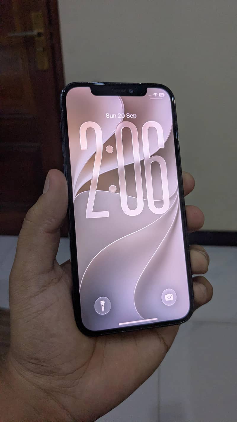 Apple iPhone 12 Pro 4