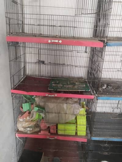 Folding Cages Seed Cleaner Breeding Box