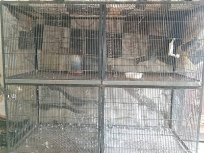 Hen cage