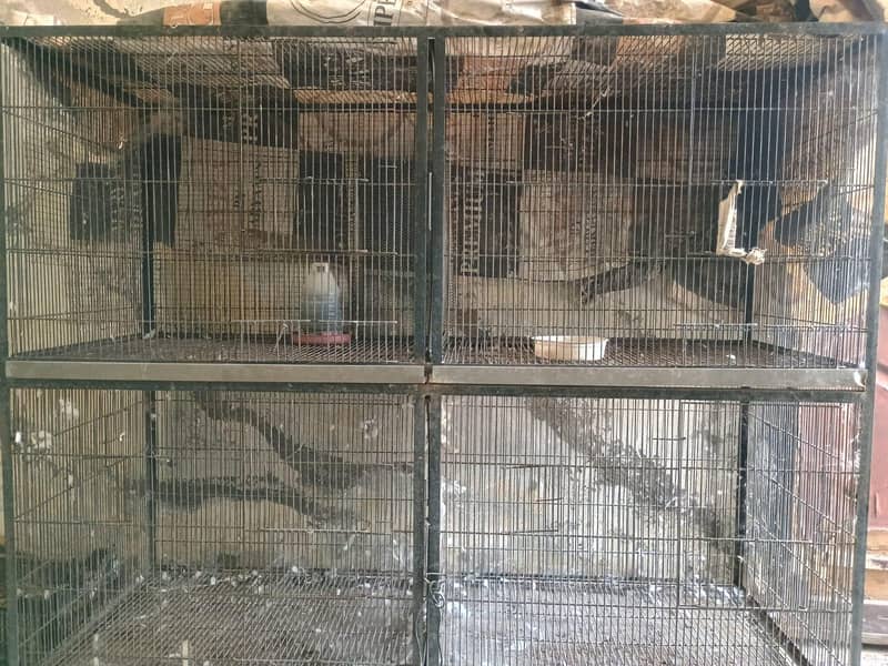 Hen cage 1