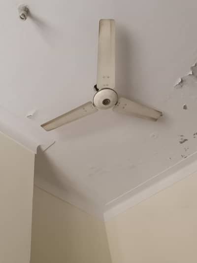 ceiling fan