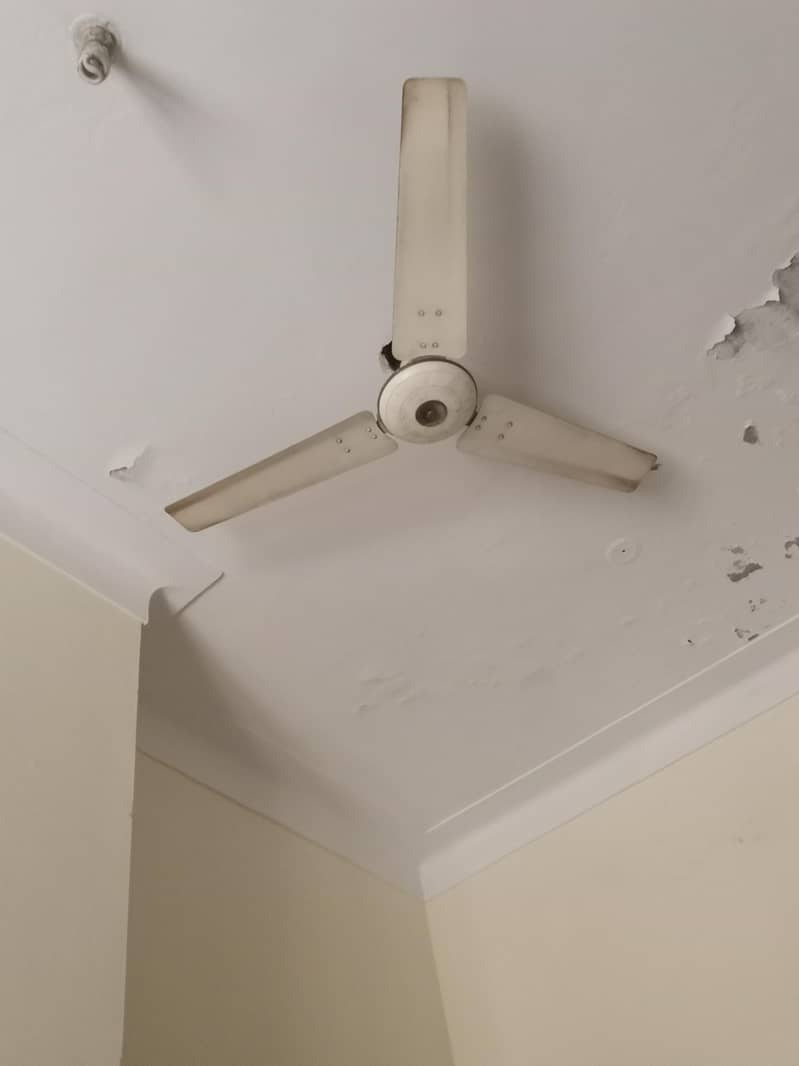 ceiling fan 0