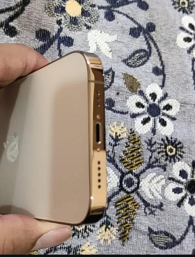 Apple iPhone 14 Pro Max 4
