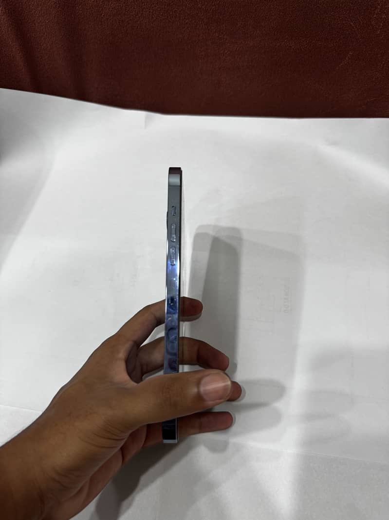 Apple iPhone 13 Pro Max 1