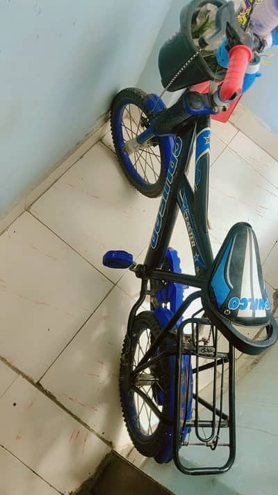 Kids Bicycle for Sale | Excellent Condition