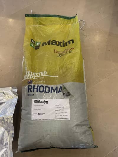 MAXIM RHODMEX