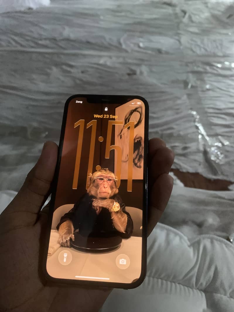 Apple iPhone 12 1